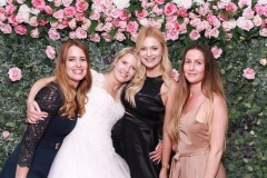 Pink-Rose-Backdrop-Bride